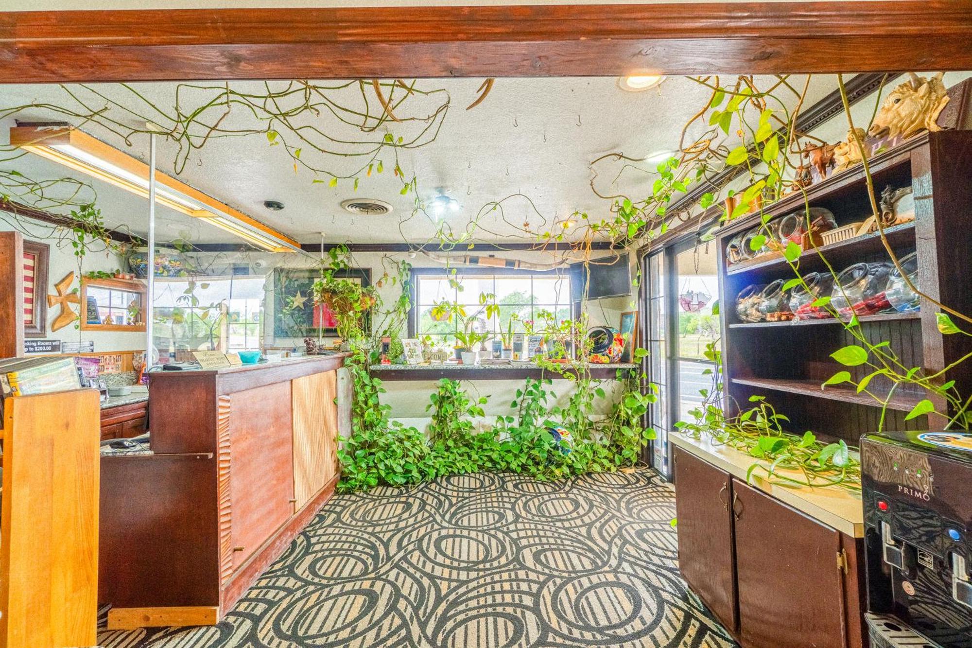 Purple Sage By Oyo Snyder Tx Motel Ngoại thất bức ảnh