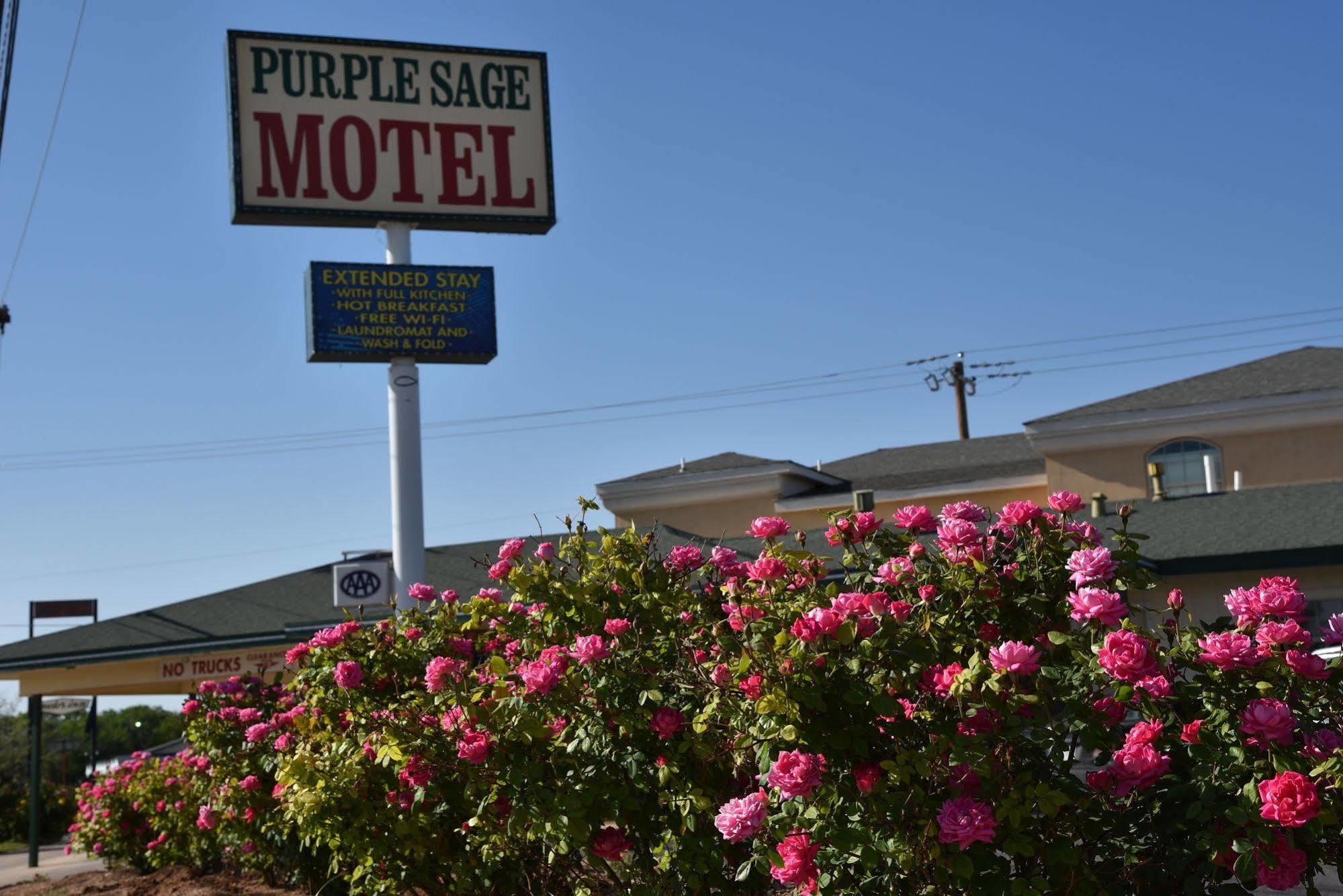 Purple Sage By Oyo Snyder Tx Motel Ngoại thất bức ảnh